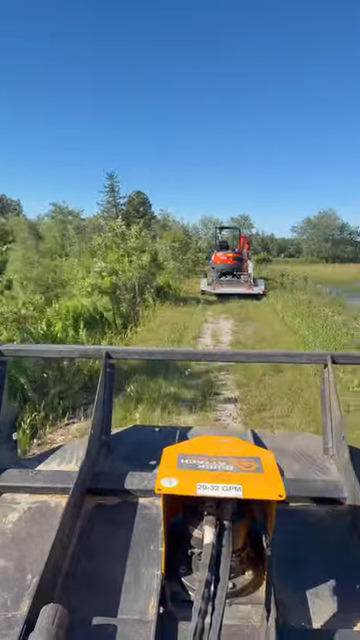 Skid steer mowing a path through the overgrown 18-acre bog at Valhalla Farms
