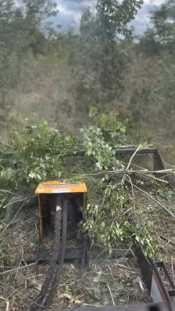 Mega Mower X attachment cutting through dense brush during land clearing