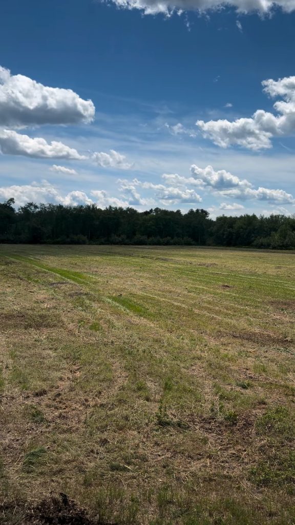 Finished 18-acre bog at Valhalla Farms after land clearing, now open and accessible