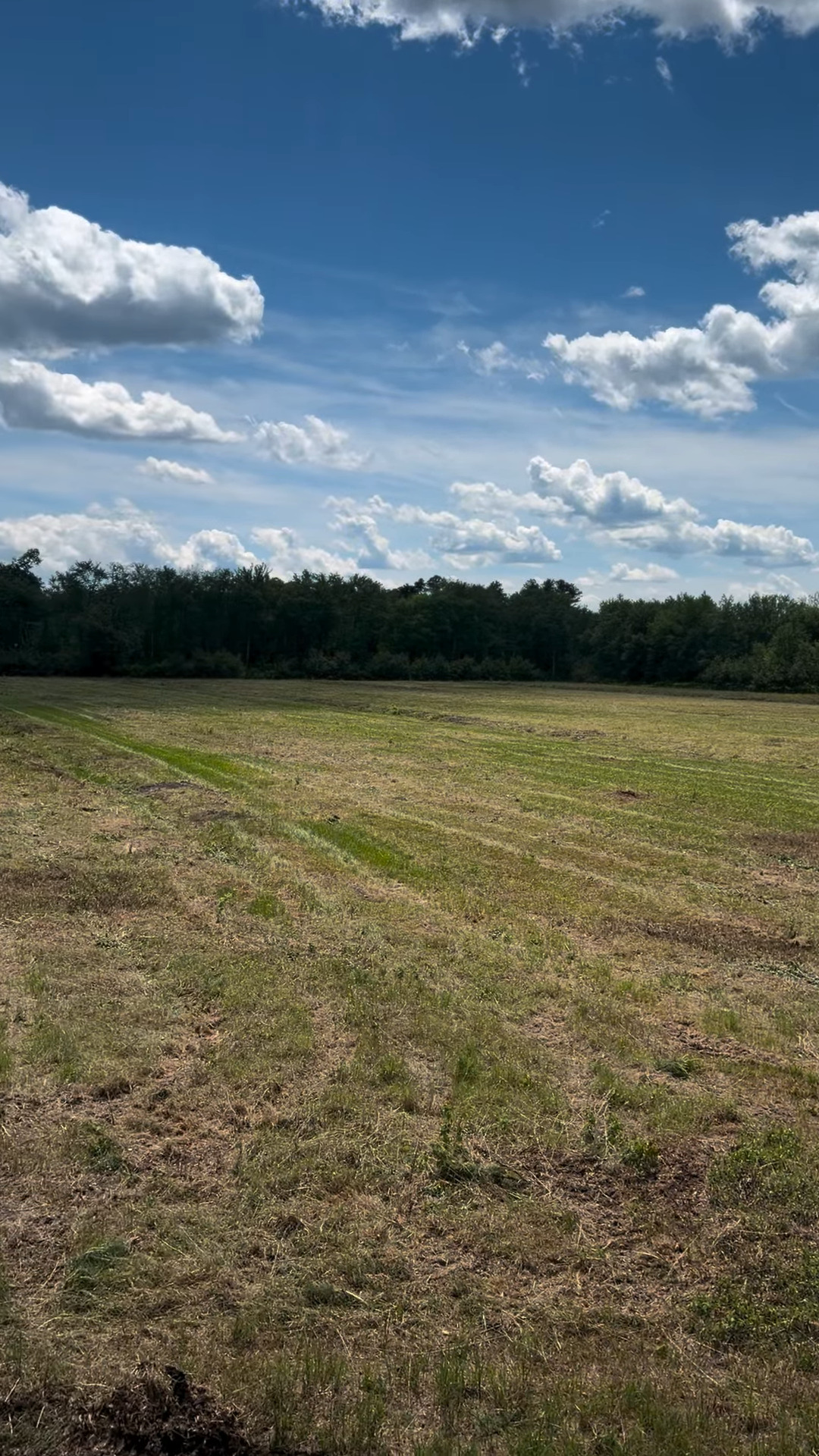 Finished 18-acre bog at Valhalla Farms after land clearing, now open and accessible