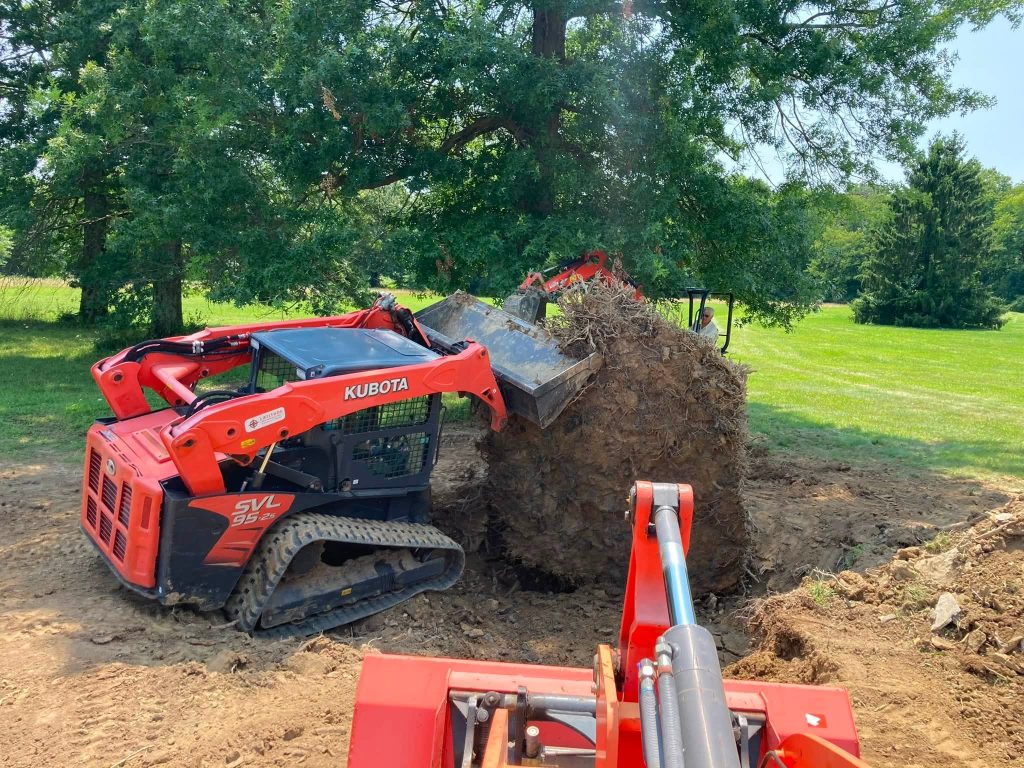 Kubota skid steer lifting a large uprooted tree stump and root ball during removal in New Jersey