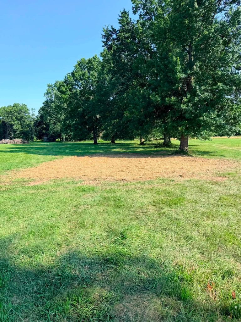 Cleared grass area in New Jersey after stump removal, with bare soil where the stump once stood